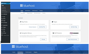 bluehost ins